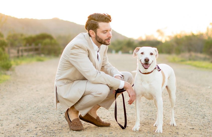 bodas y mascotas